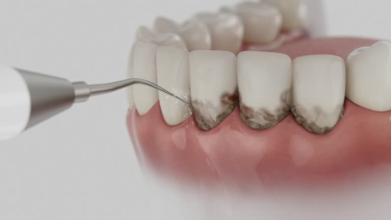 Reliable Dental contractor in Fitchburg, WI by Dentist Open Now